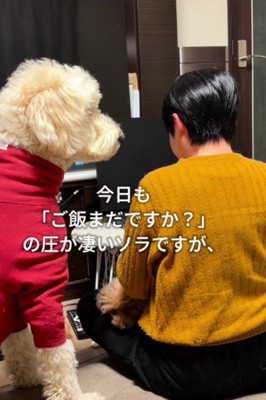ごはんまだ？