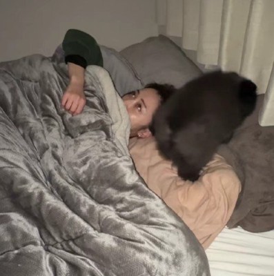 朝4時、寂しくてベッドに入ってきた犬→抱きしめてあげると…とんでもなく尊い『電池切れの瞬間』が19万再生「赤ちゃん」「幸せな夢見そう」