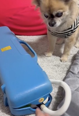 ザッ…！