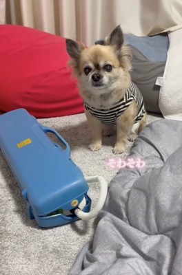 足踏みっ