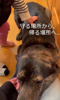 現在の様子