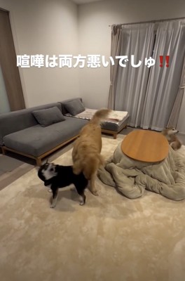 喧嘩両成敗！