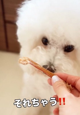 怒るまるちゃん
