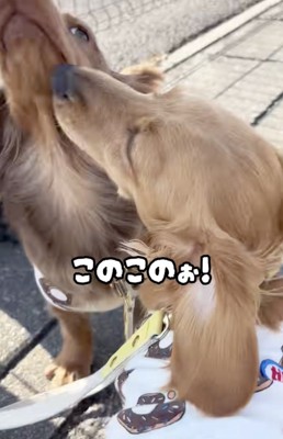 「びっくりしたじゃんー！」