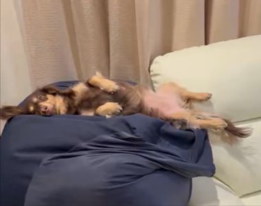 妹分