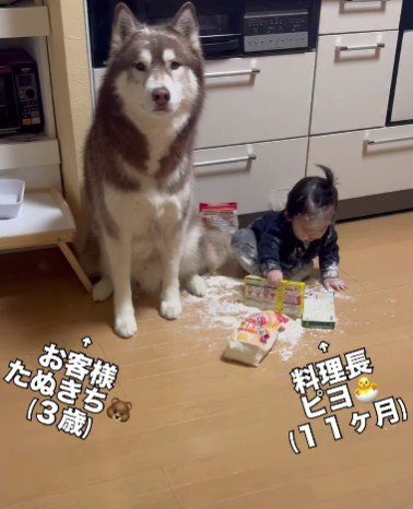 赤ちゃんがイタズラ♪