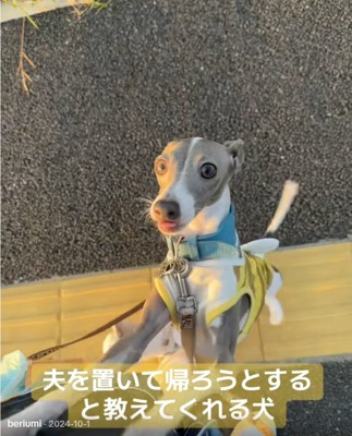 焦るうみちゃん