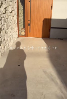 コンビニから帰ってきたら…