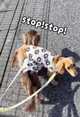 「たすけて！！」