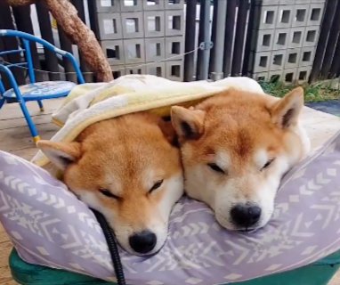 いつでも