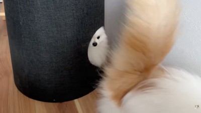 立ち去ってしまいました