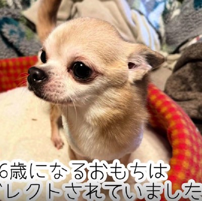 ネグレクトを受けていた