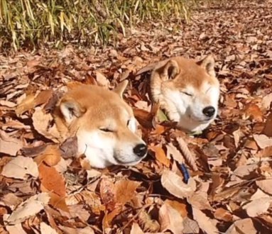 気持ち