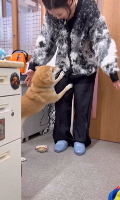 2人の絆に感動