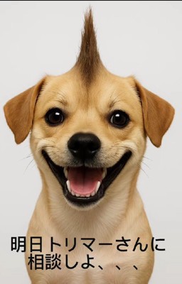 これが…タティちゃん…！？