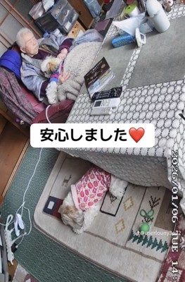 おばあちゃんと2匹の犬2