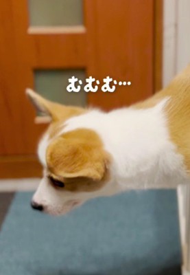 「あれれ？」