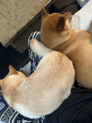 仲良し