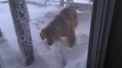 外に出てみます!