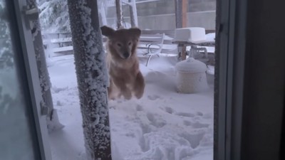 強い風が吹いたら…