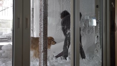 トイレが雪に埋もれてしまって困惑