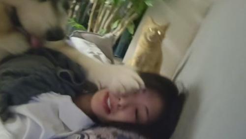 帰宅して猫を撫でたら…