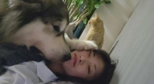 ヤキモチを妬いたぽてまるちゃん