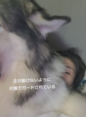 前足でガード