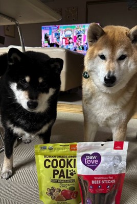 並ぶ2匹の犬2