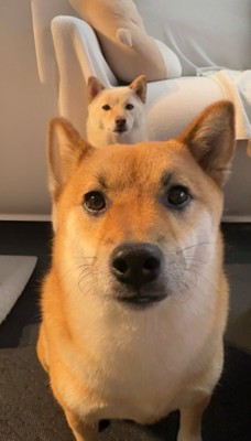 妹