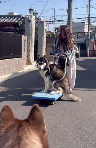 台車に乗ってる!!