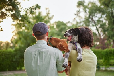 犬友