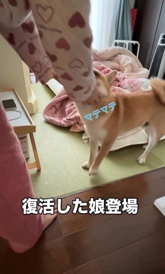 ナデナデ…