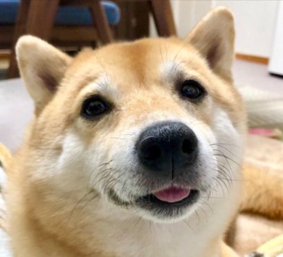 ニパッ