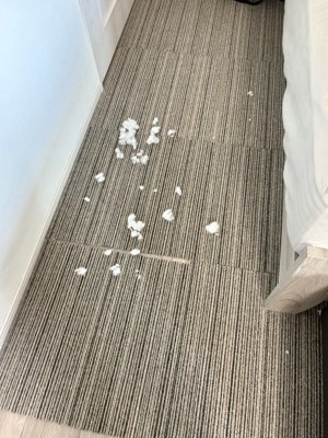 ベッド下