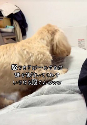 「もういい」
