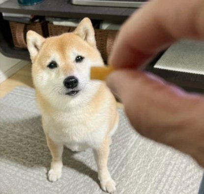 大好きなオヤツ
