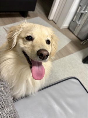 ニコッ