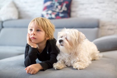 並んでテレビを見る男の子と犬