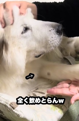 口から薬が出てきた