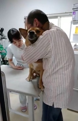 保定されるわんこ