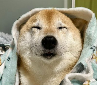 眠たい