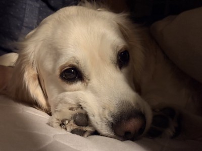 眠たそう