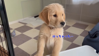 「お姉ちゃんはどこ?」