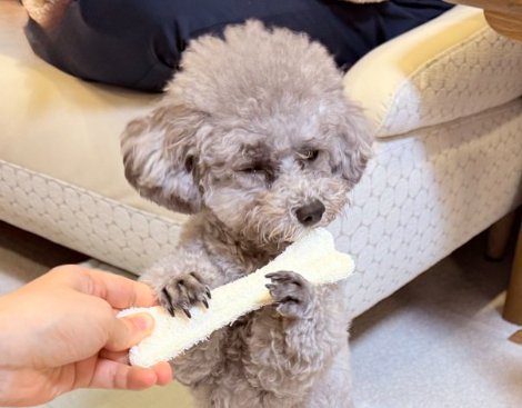 フルート
