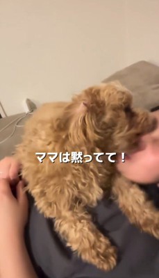 女性の顔に甘噛みする犬
