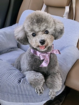 ニコニコ