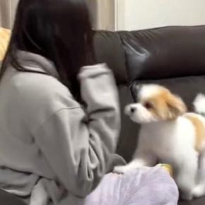 『犬が怖い女の子』と『初めて怖がられる犬』あまりにも可愛い