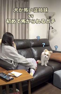 「なんで？？」