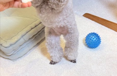 立ち上がる
